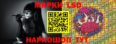 дживик Моздок
