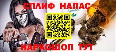 дживик Моздок