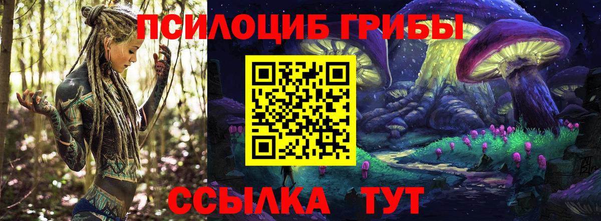 Галлюциногенные грибы прущие грибы  Вход с VPN  как найти закладки  Щёлково 